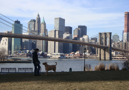 vue new york depuis Brooklyn