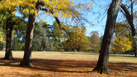bordeaux octobre parc bordelais parc bordelais