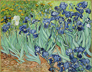 les iris de van gogh