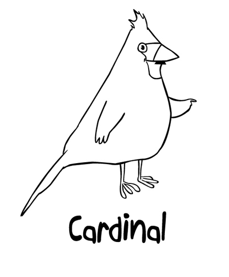 cardinal bd