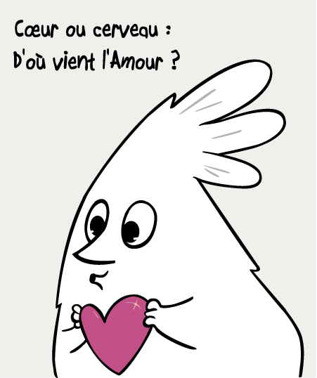 question amour
