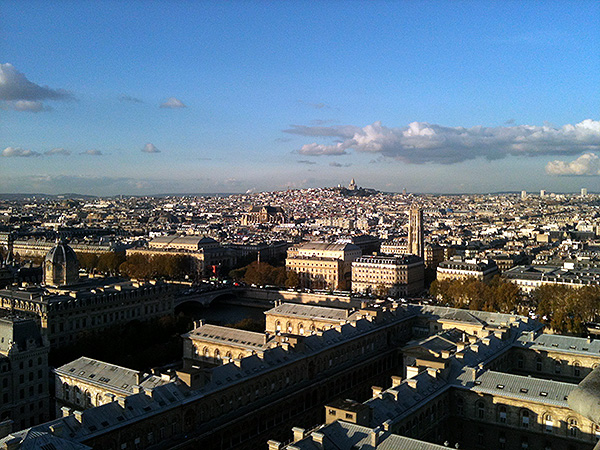 toit paris notre dame