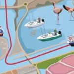 plan vectorisé camargue
