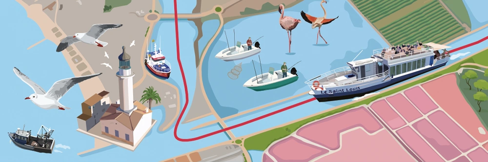 plan vectorisé camargue