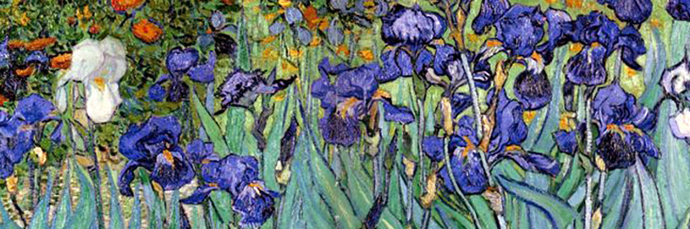 iris van gogh