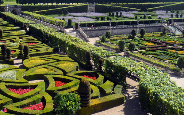 jardin villandry