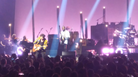 Lamomali Montpellier