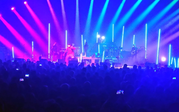 lamomali montpellier