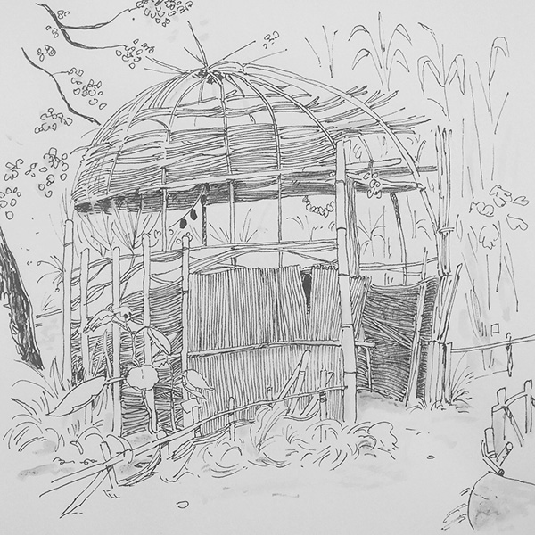 dessin cabane jardin plantes