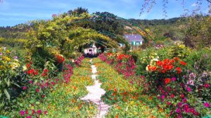 jardin de fleurs