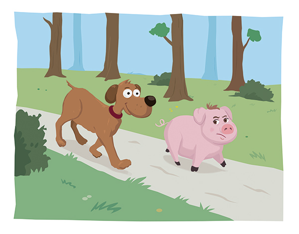 illustration conte sorciere