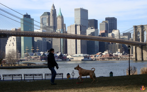 manhattan depuis brooklyn