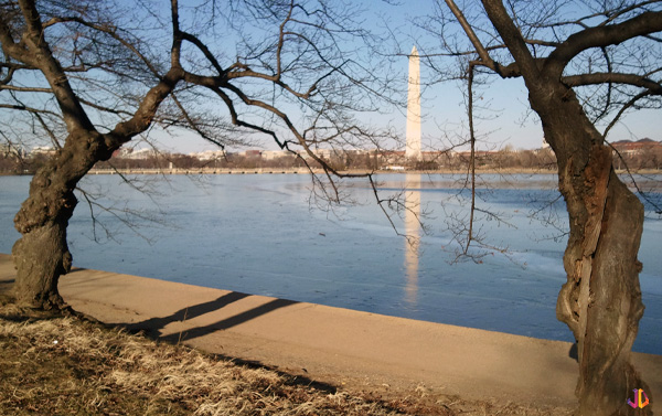 the tedal basin washington monument