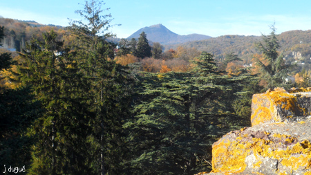 automne parc bargoin clermont ferrand