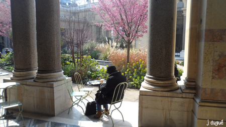 petit palais cafe restaurant