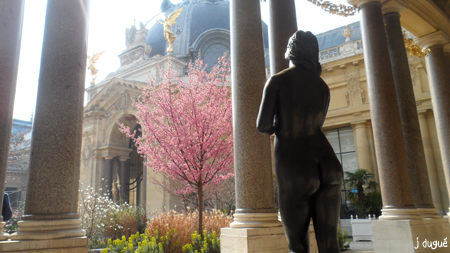 jardin petit palais