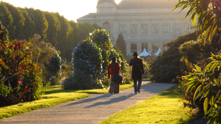 photo jardin plantes