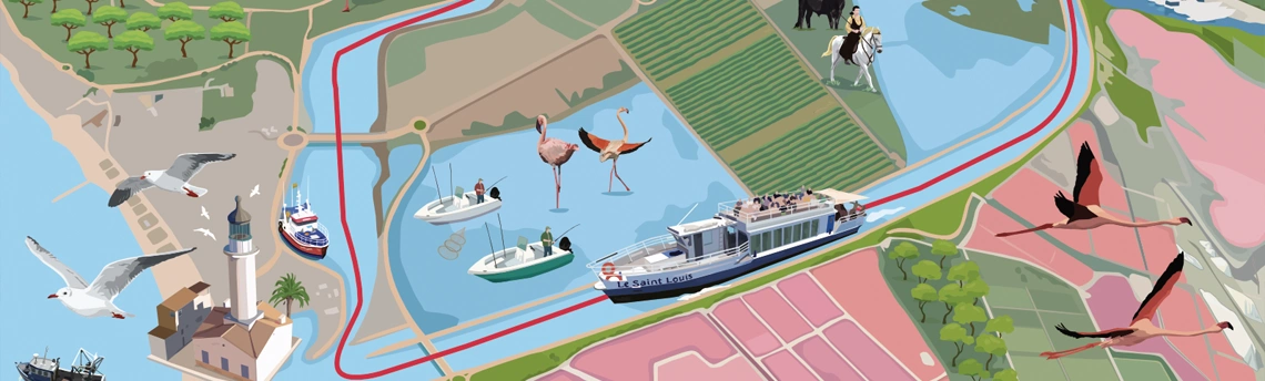 plan des croisieres touristiques en camargue