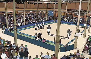 illustration pour un livre sport sur la pétanque